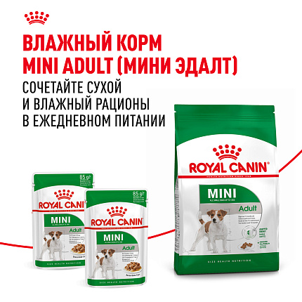 Cухой корм Royal Canin Mini Adult (МИНИ ЭДАЛТ) 2 кг